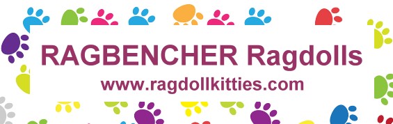 link-banner_ragbencher